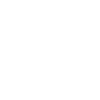 Segway Motors logo